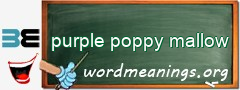 WordMeaning blackboard for purple poppy mallow